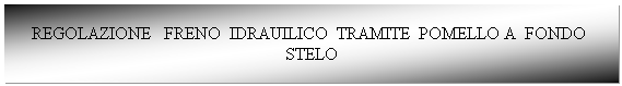 Casella di testo: REGOLAZIONE   FRENO  IDRAUILICO  TRAMITE  POMELLO A  FONDO  STELO
